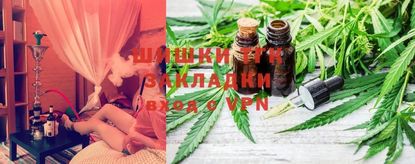спиды Алзамай