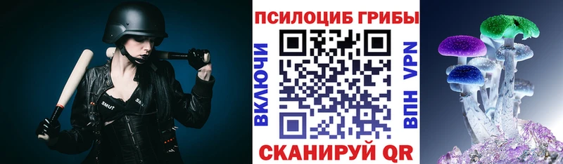 kraken как зайти  Камешково  Галлюциногенные грибы GOLDEN TEACHER  закладки 